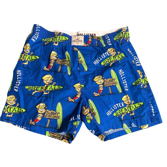 Hollister Other - 377. Hollister Waxer men’s boxers size M